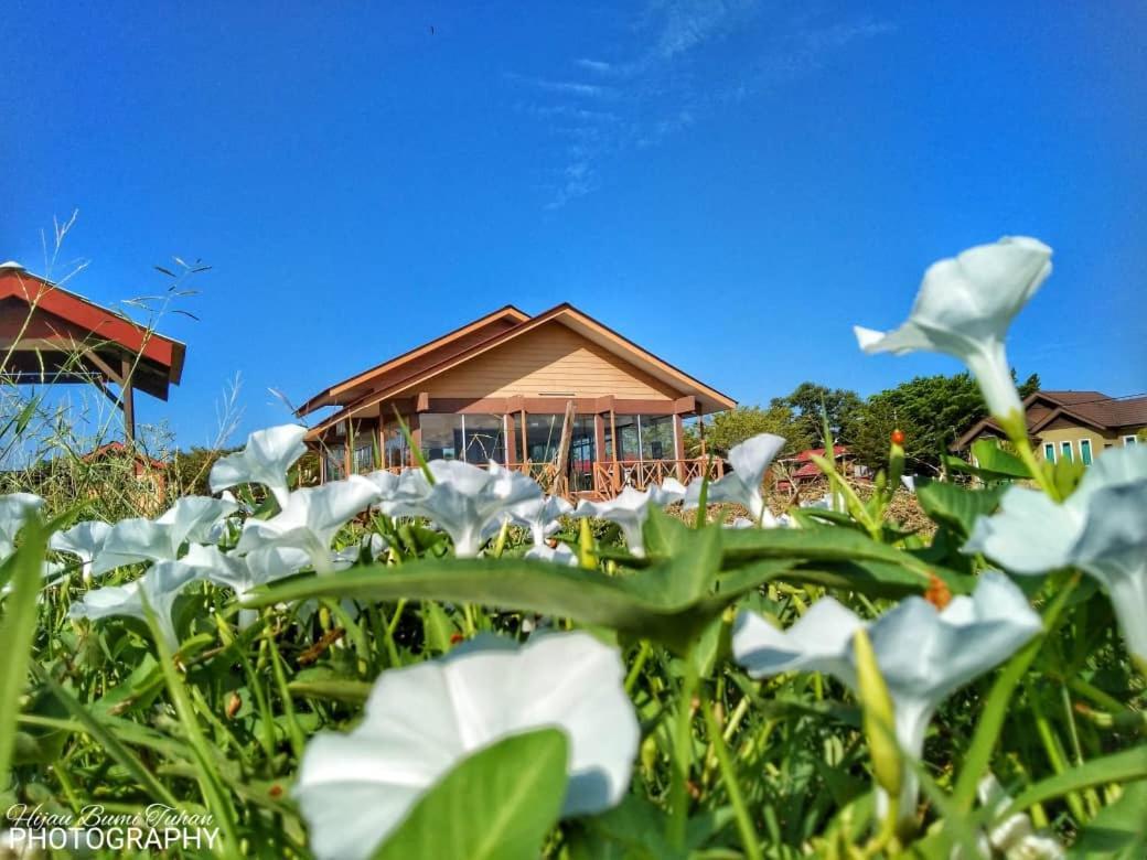Tamteh Homestay Ayer Hitam Exteriér fotografie